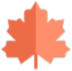 昔枫音乐盒LOGO